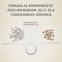 PURINA One Mini/Small Sensitive Łosoś, ryż - sucha karma dla psa - 800 g PURINA NESTLE