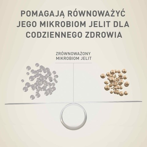 PURINA One Mini/Small Sensitive Łosoś, ryż - sucha karma dla psa - 800 g PURINA NESTLE