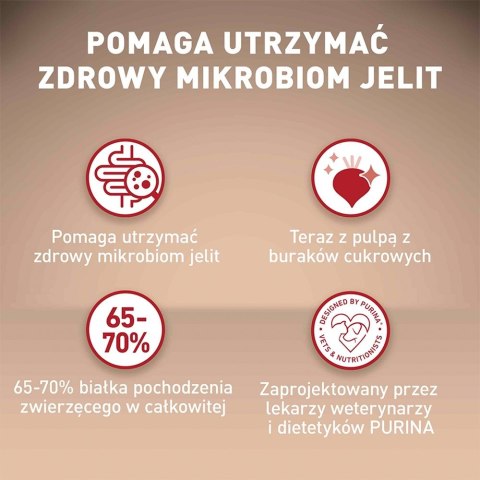 PURINA One Mini/Small Sensitive Łosoś, ryż - sucha karma dla psa - 800 g PURINA NESTLE