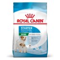 ROYAL CANIN Starter Mini Mother & Babydog - sucha karma dla szczeniąt i suk w ciąży oraz okresie laktacji - 1 kg Royal Canin