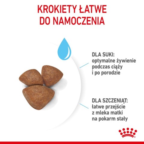 ROYAL CANIN Starter Mini Mother & Babydog - sucha karma dla szczeniąt i suk w ciąży oraz okresie laktacji - 1 kg Royal Canin