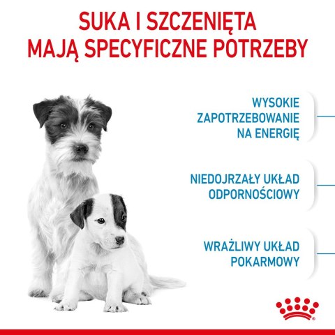 ROYAL CANIN Starter Mini Mother & Babydog - sucha karma dla szczeniąt i suk w ciąży oraz okresie laktacji - 1 kg Royal Canin
