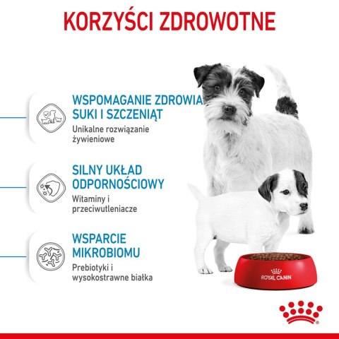 ROYAL CANIN Starter Mini Mother & Babydog - sucha karma dla szczeniąt i suk w ciąży oraz okresie laktacji - 1 kg Royal Canin