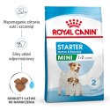 ROYAL CANIN Starter Mini Mother & Babydog - sucha karma dla szczeniąt i suk w ciąży oraz okresie laktacji - 1 kg Royal Canin