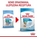ROYAL CANIN Starter Mini Mother & Babydog - sucha karma dla szczeniąt i suk w ciąży oraz okresie laktacji - 1 kg Royal Canin