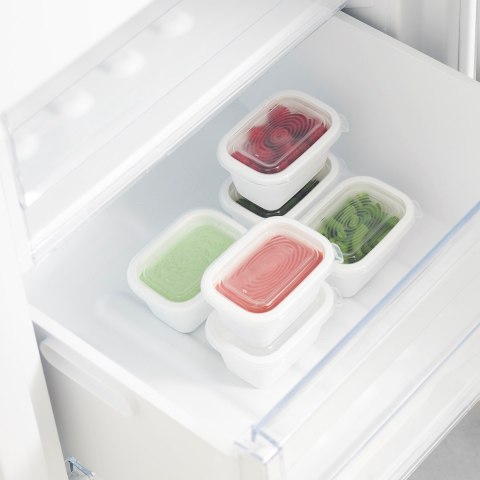 Rotho Freeze zestaw pojemników do mrożenia 6 x 0,25l Rotho
