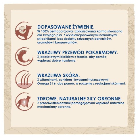 PURINA DOG CHOW Adult Sensitive z łososiem - sucha karma dla psa - 14 kg PURINA NESTLE