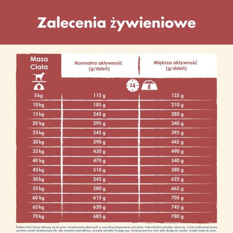 PURINA DOG CHOW Adult Sensitive z łososiem - sucha karma dla psa - 14 kg PURINA NESTLE