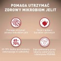 PURINA One Mini Adult Wołowina, ryż - sucha karma dla psa - 800 g PURINA NESTLE