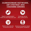 PURINA One Mini Adult Wołowina, ryż - sucha karma dla psa - 800 g PURINA NESTLE