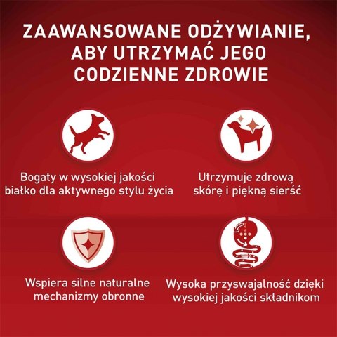 PURINA One Mini Adult Wołowina, ryż - sucha karma dla psa - 800 g PURINA NESTLE