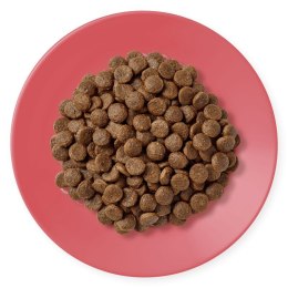 Applaws Cat Dry Chicken with Extra Duck 400g Applaws