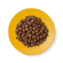Applaws Cat Dry Senior Chicken 2kg Applaws