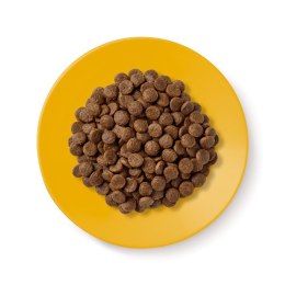 Applaws Cat Dry Senior Chicken 2kg Applaws