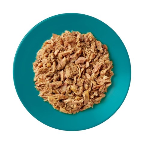 Applaws Cat Tin Ocean Fish 70g Applaws