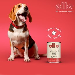 Ollo Pure Wieprzowina 850g OLLO