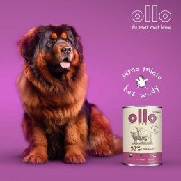 Ollo Umami Jagniecina i Wołowina 850g OLLO