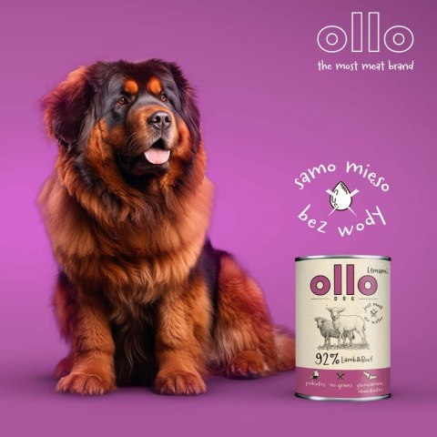 Ollo Umami Jagniecina i Wołowina 850g OLLO