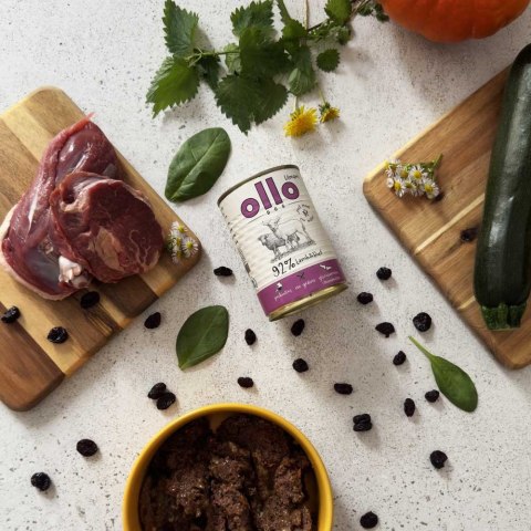 Ollo Umami Jagniecina i Wołowina 850g OLLO