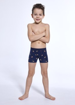 BOKSERKI KIDS 701/147 BEARS