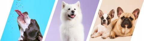 2Dog Cygara JELEŃ 7 szt