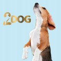2Dog Cygara WOŁOWINA 1 Kg