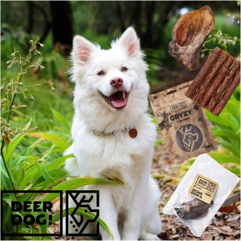 Deer Dog gryzak ucho dzik 1 szt