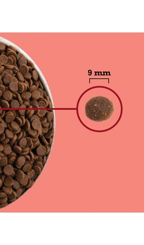 ACANA Highest Protein Indoor Cat 1,8kg ACANA