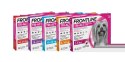 FRONTLINE Tri-Act Dla Psów 3x6ml