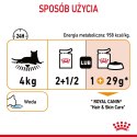 ROYAL CANIN Intense Beauty Gravy 12x85g