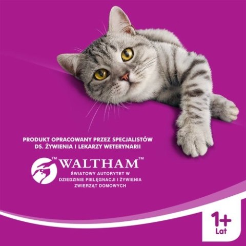 WHISKAS Karma Sucha Dla Kota 1+ Z Wołowiną 14kg