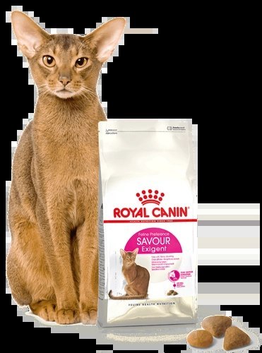 ROYAL CANIN Exigent Savour 35/30 Sensation 400g
