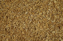 Tetra Anchovies 1l