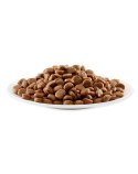 APPLAWS Complete Dry Adult Chicken 2kg