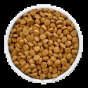 Hill's PD Prescription Diet Feline w/d Kurczak 1,5kg