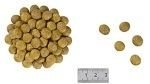 ROYAL CANIN Renal Feline 2kg