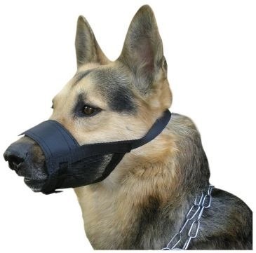 Dingo Kaganiec Weterynaryjny Nylonowy Dla Psa Rozmiar 4 22-30cm