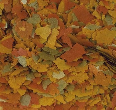 Tropical Goldfish Color 1000ml