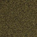 Tropical Spirulina Granulat 100ml