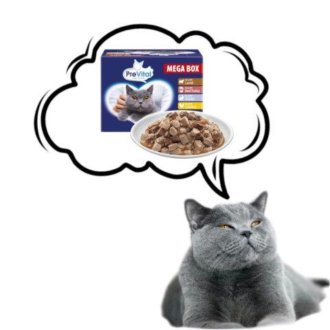 PREVITAL Megabox z jagnięciną, wołowiną, królikiem i kurczakiem - karma dla kota 24x100g PREVITAL