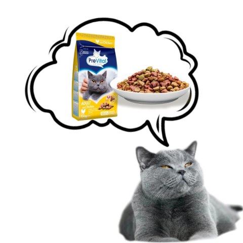 PREVITAL - Z kurczakiem - Pełnoporcjowa karma dla dorosłych kotów - karma sucha - 1,4kg PREVITAL