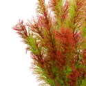 Kruger Meier Plant Riverweed - roślinka sztuczna