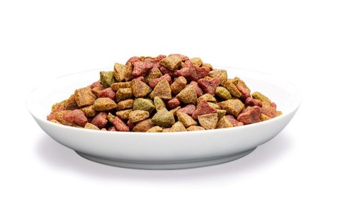 PREVITAL łosoś senior karma sucha dla kotów 1,4kg PREVITAL