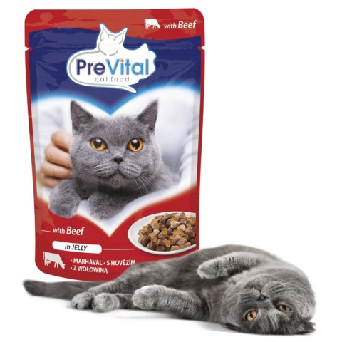 PREVITAL wołowina w galaretce dla kotów 100g PREVITAL