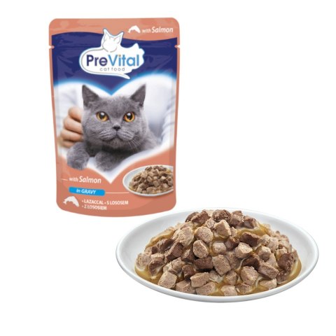 PREVITAL łosoś w sosie dla kotów 100g PREVITAL