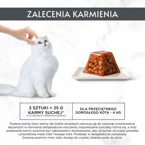 PURINA GOURMET REVELATIONS Kurczak w galaretce 2X57g PURINA NESTLE