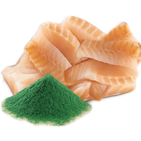 SHELMA saszetka z dorszem i spiruliną dla kota 85g SHELMA
