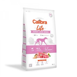 CALIBRA DOG life junior large breed lamb 12kg Calibra