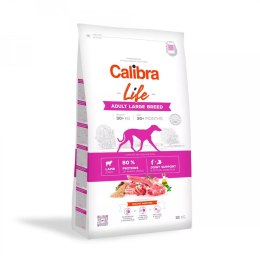 CALIBRA LIFE Adult Large Breed Lamb - karma dla psa - 12KG Calibra