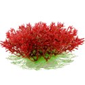 Kruger Meier Plant Mini Flame - roślinka sztuczna